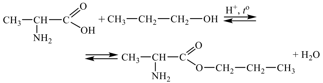 Задания №33. Установление структуры органического соединения.