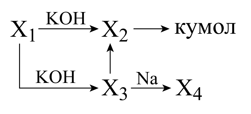 Авторский вариант №1 2026.